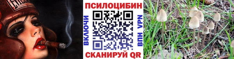 Галлюциногенные грибы ЛСД  Сельцо 